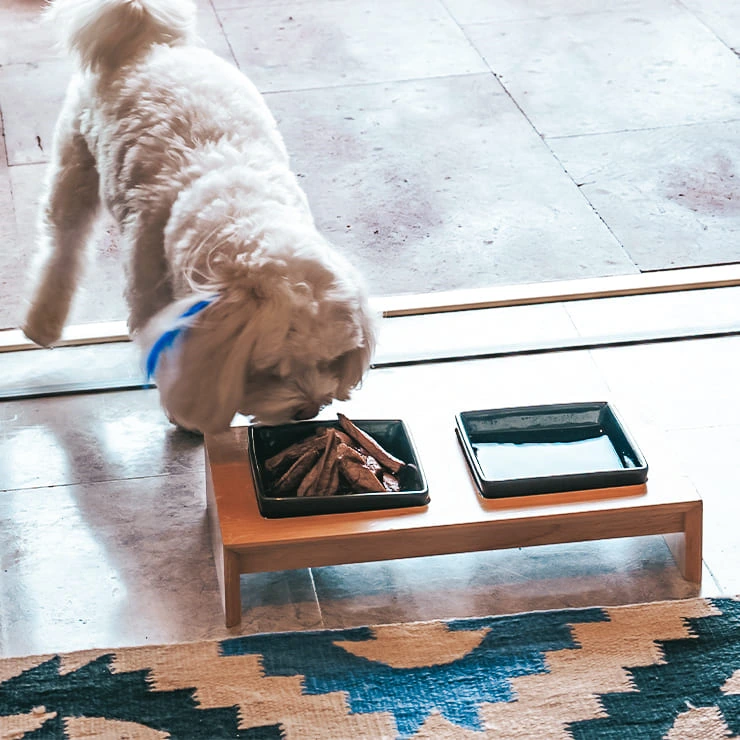 Dog-Friendly Bungalow with a dog, comfortable stay at D Resort Ayvalik